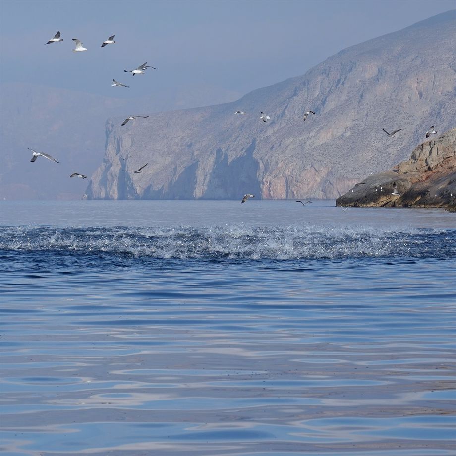 9.11.2021 Kalymnos. GPS 37.0372597N, 26.9103208E