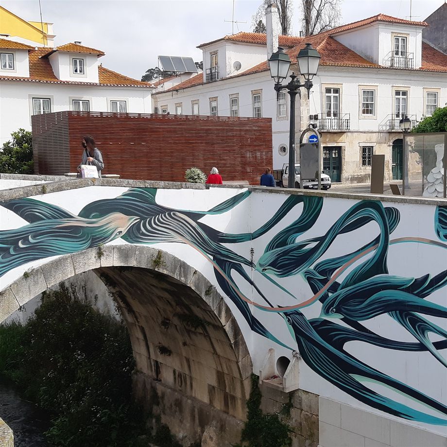 14.4.2022 Alcobaça, GPS 39.5499639N, 8.9785781W
