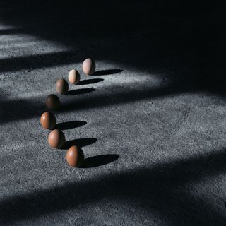 2023_09_25_EGGS_ANALOG025