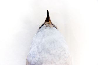 IMG_1015