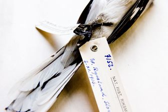 IMG_1020
