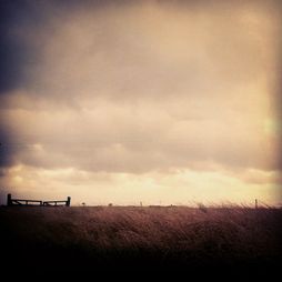 InstagramCapture_834d24d0-1dbb-438e-8f72-774107aa8c04