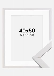 Tavla 40x50, vit ram - 1325 kr