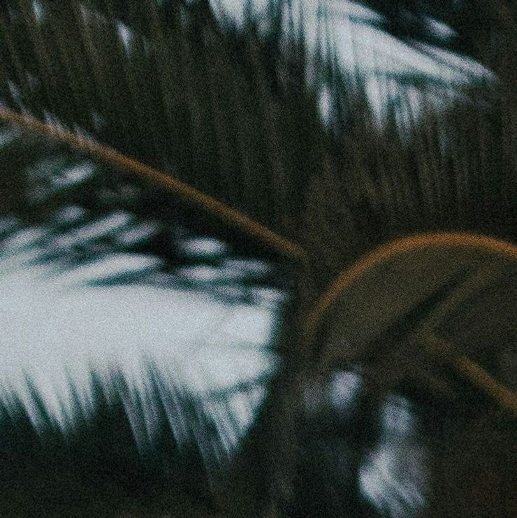 unsplash_SiniLJkXhMc