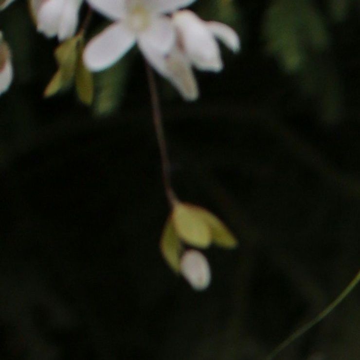 unsplash_fn0xXL9szcU