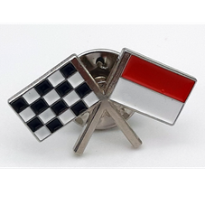 PINS GP