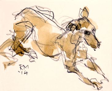 queen of the nile lurcher dog sitting rob macgillivray