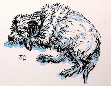 Scruff border terrier ink by rob macgillivray