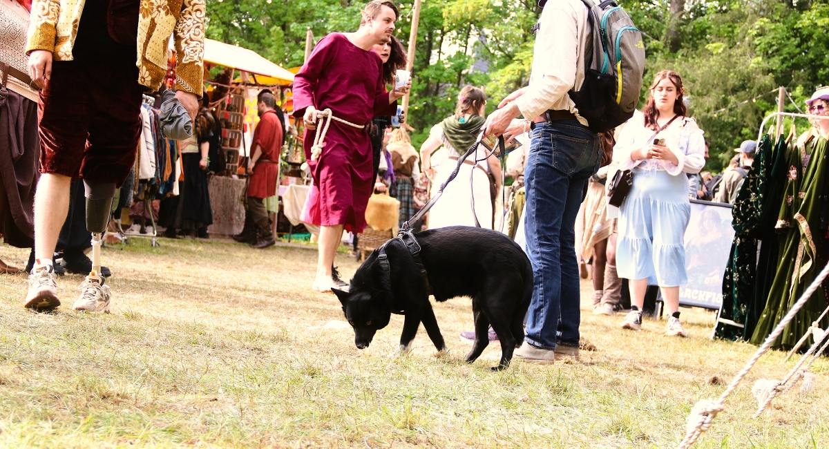 Festival Elfia 10-5-2026 296