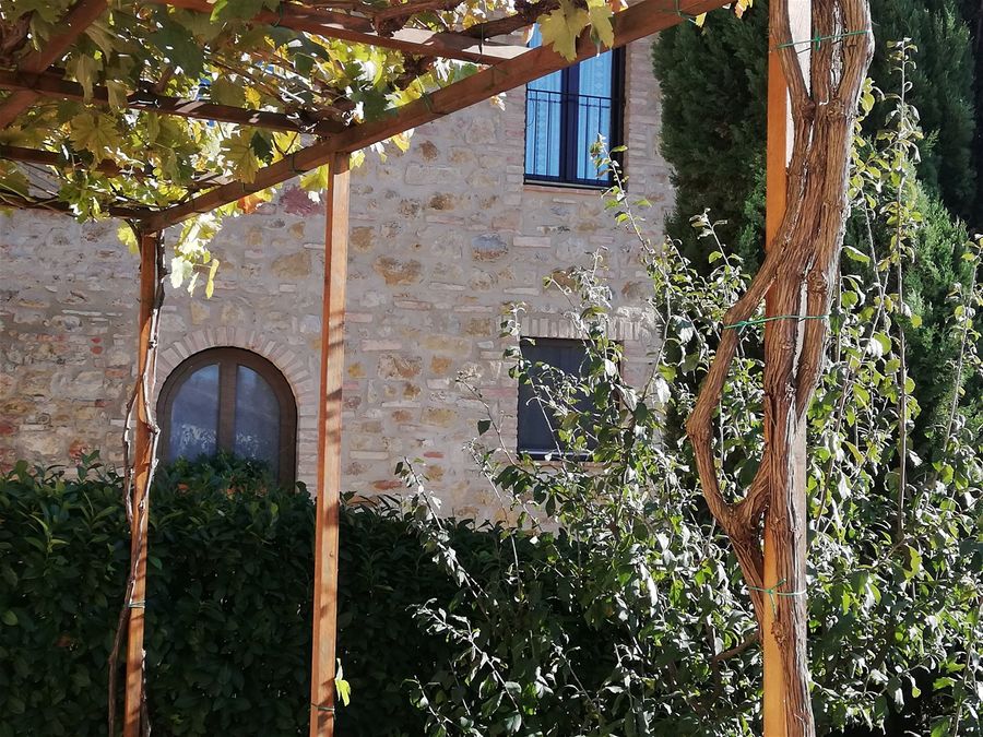 Rita and Valerio are involved in agronomy and genetics research. An historical grapevine composes the 