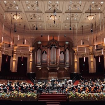 Het Concertgebouw, Amsterdam 