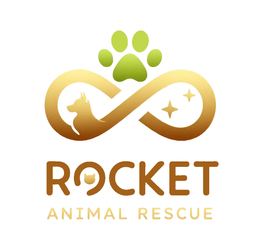 Rocket Animal Rescue