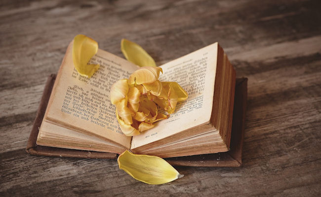 Å dele informasjon er det vi gjør.