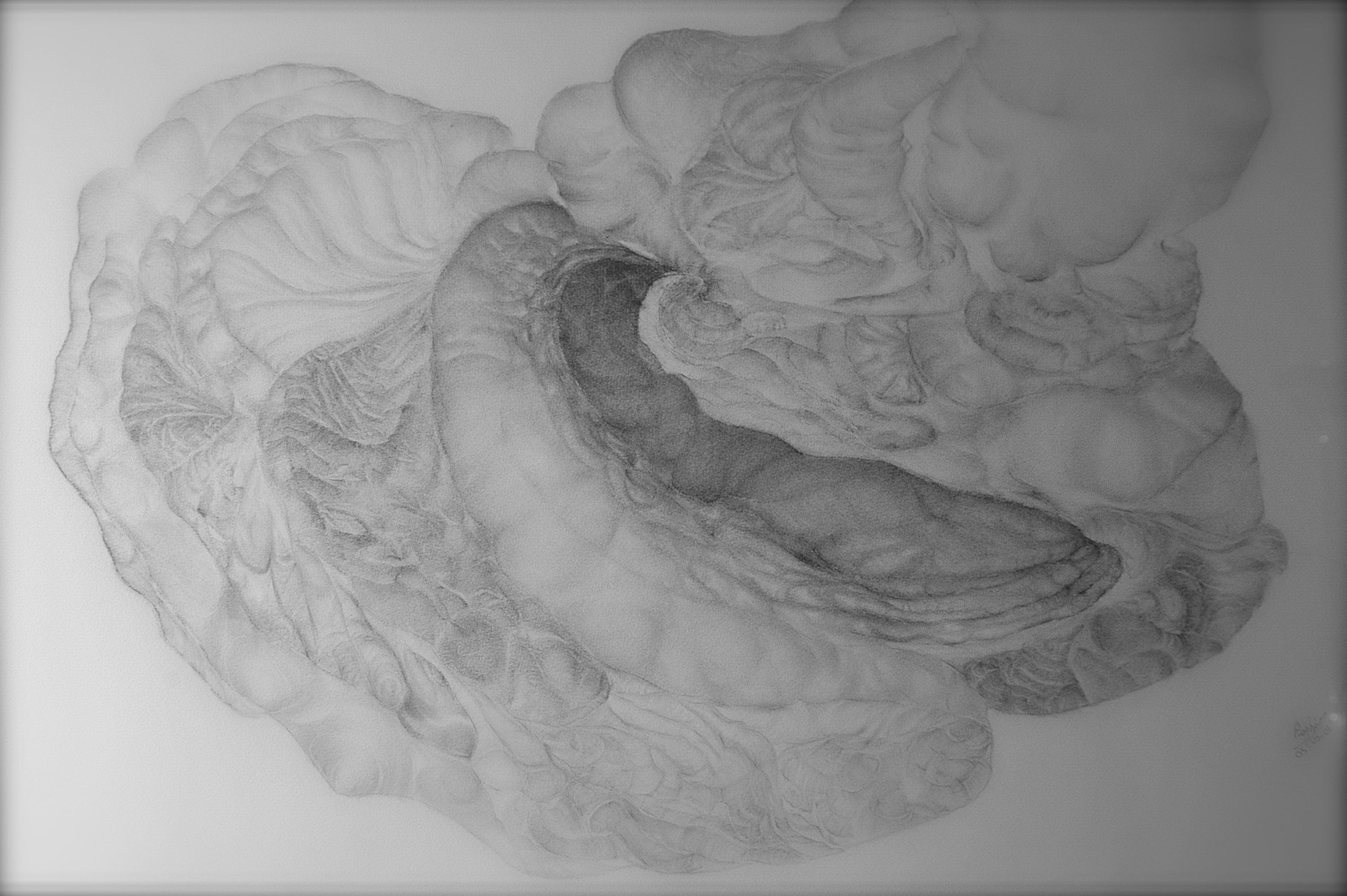 bilder_for_galleri_gad-13