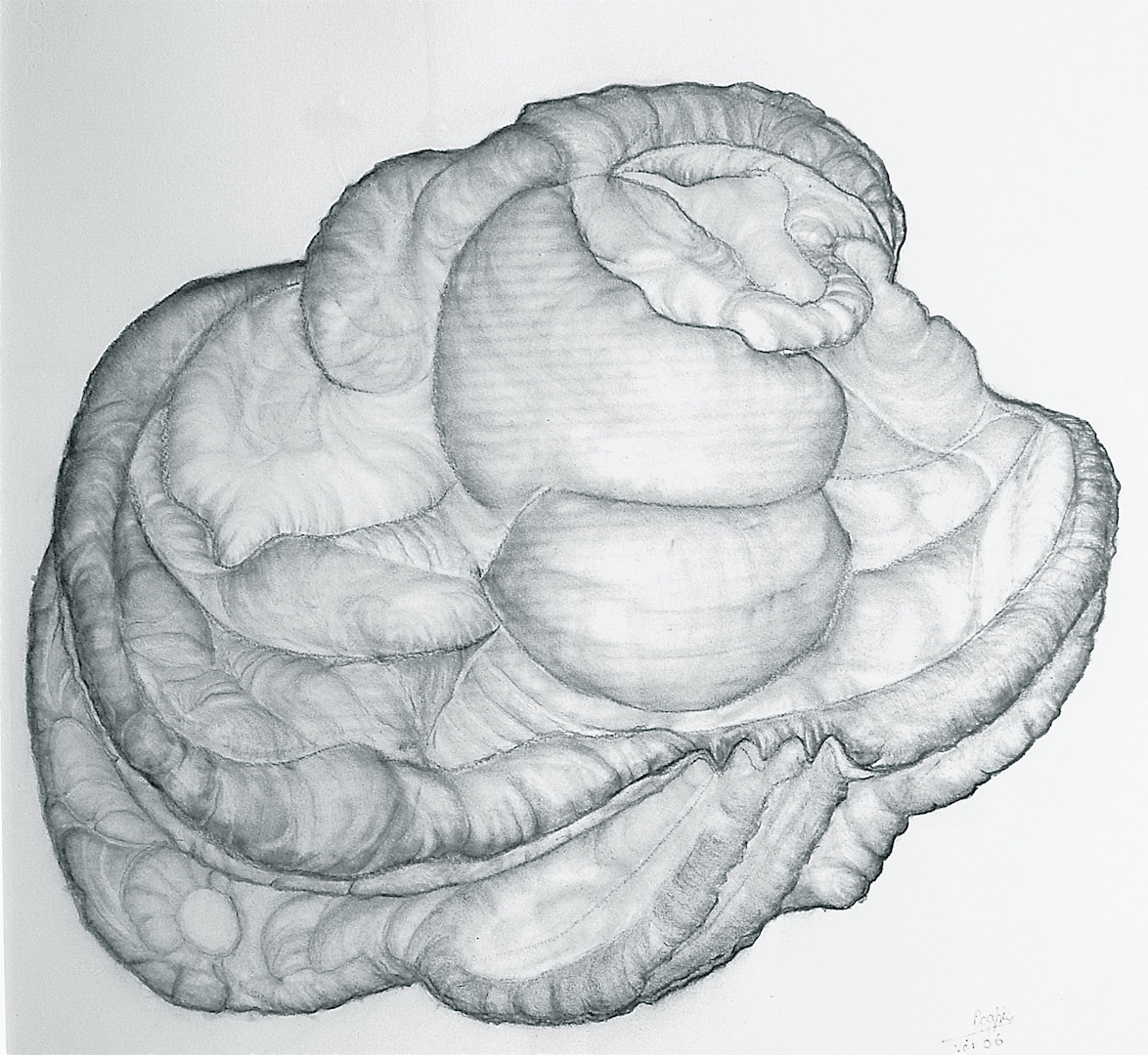 bilder for tegnebinalen0005bilder for tegne binalen