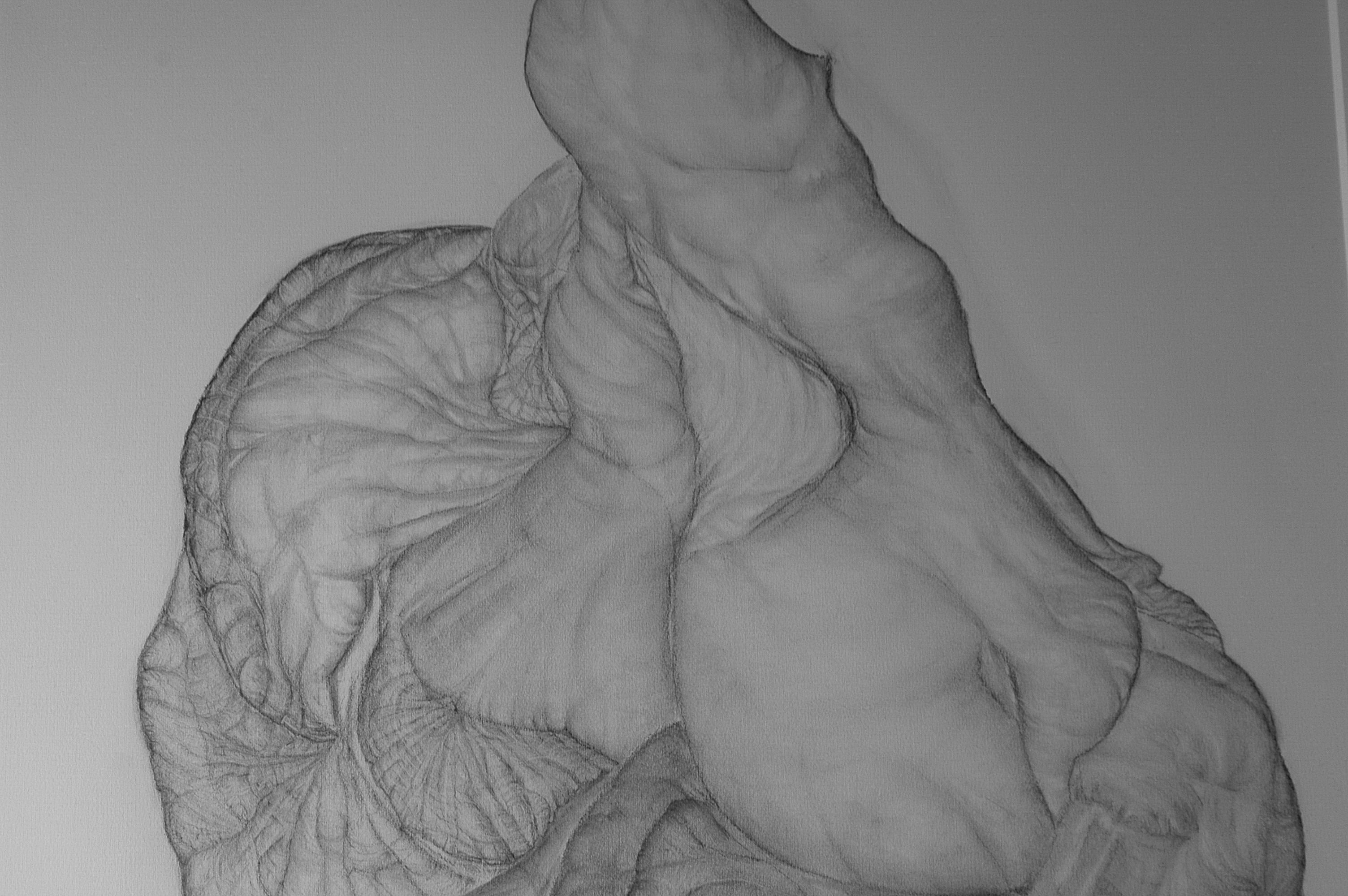 bilder for tegnebinalen0014bilder for tegne binalen