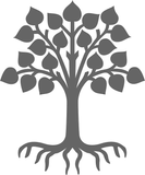 Rohhad Nordic