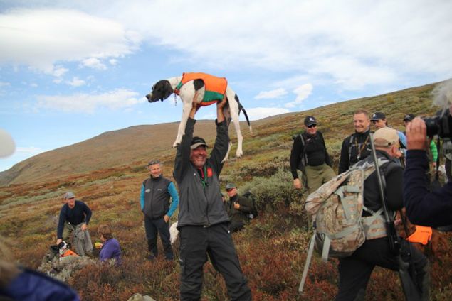 3pl.NM Finale 2013 på Kongsvold får markere starten på det nye året!

Det første vi ser fram til i år er Tig sin nedkomst nå i midten av Januar.  Så håper vi på fine jakturer utover vinteren og noen spennende prøvestarter... 
