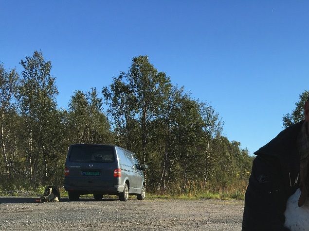Lar et særdeles hyggelig øyeblikk fra 2016; 1 VK og 2 VK , illustrere inngangen på et nytt år for Rokkomborres!
Alle valpene fra C kullet er nå solgt og Bine er i godt slag før neste helgs prøvestart i Tromsø.  Patrika er nok enda ikke i slag,- så vi får se om hun starter.