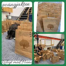 Poängjakt 2022
