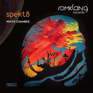 Ninth Chamber