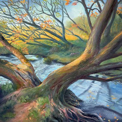 Split tree on the river Pont £950 (Framed)