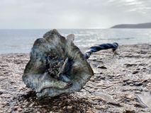 IMG_1328 2