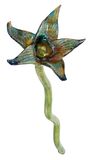 bloemfin4