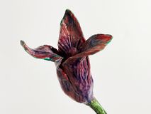 fleur2