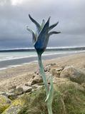 thumbnail_image1
