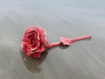 thumbnail_image4