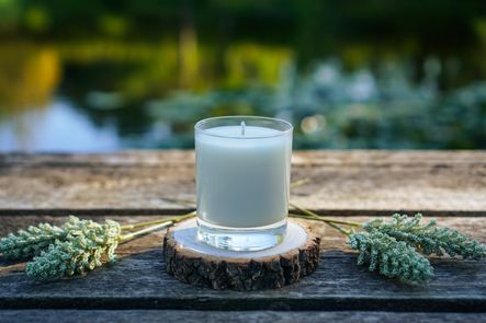 Ginger Lily & Ylang Ylang Candle
