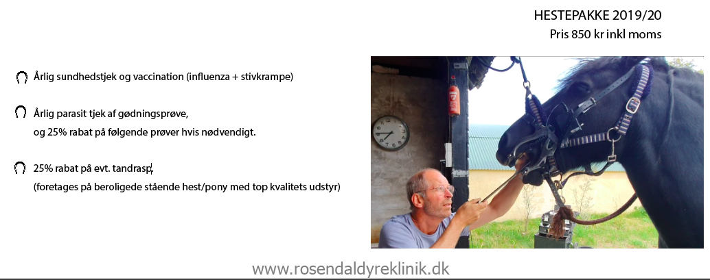 Tandraspning hest på Samsø