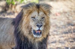 Wildlife-34