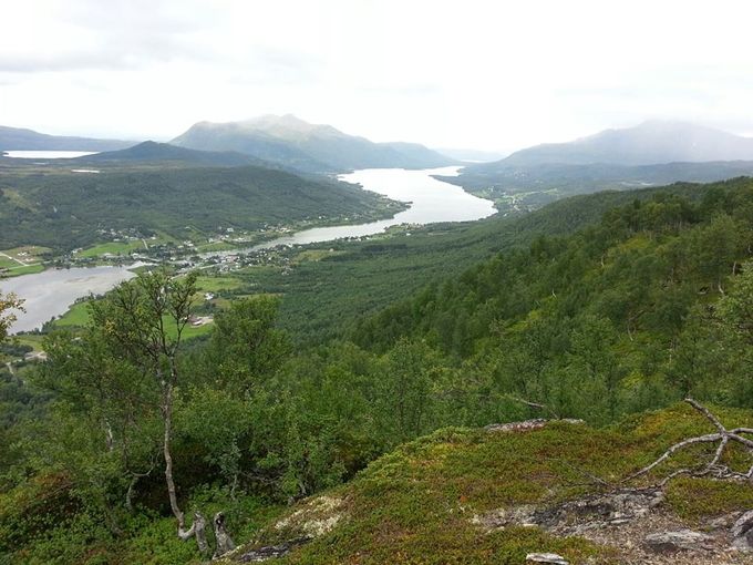 Rossfjordvannet og deler av tidevannselva