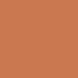 F4161 Terracotta mat