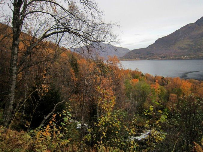 Utsikt fra posteplass ved plasselva der utmarksgjerde går til elva.
