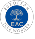 ETW - European Tree Worker - RS Trädvård - Arborist, trädfällning, beskärning, Avesta, Sala, Norberg, Hedemora, Horndal