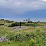Ruiz in Dancing Walk with Nature
