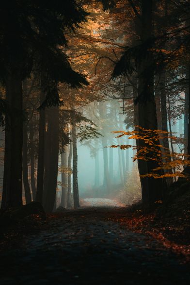 unsplash_F1hh9vJG06k