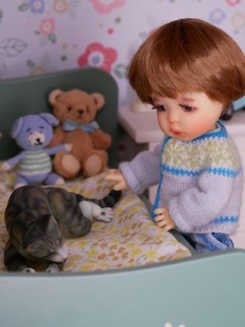 "This is my bed kitty..."