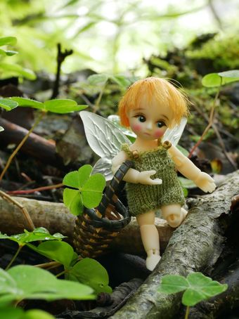 Bluefairydoll