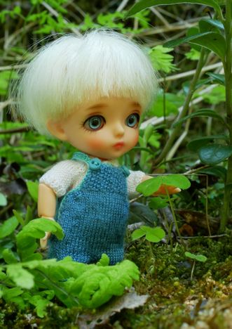Wilbur is in the forest for the first time.