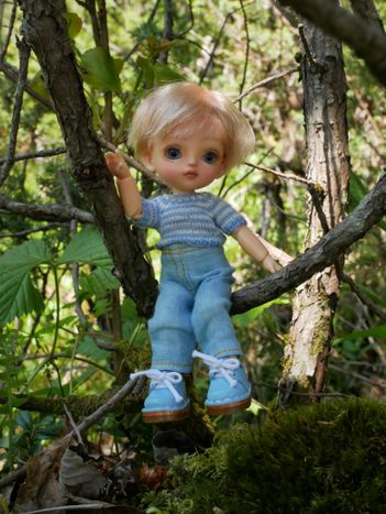 High in the tree.