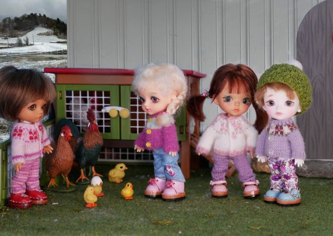 "The chickens are out!"