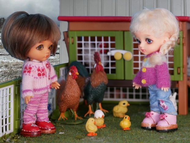 "Do you want to get that egg shell of his head?"