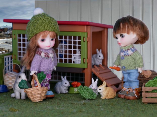 Feeding the bunnies.