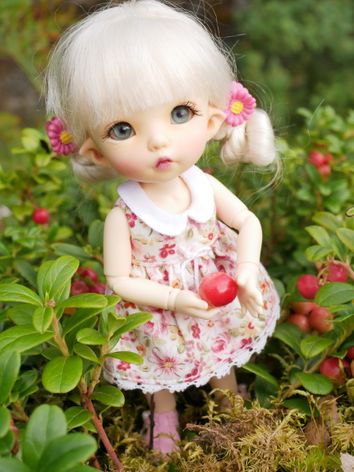 CP/ Fairyland