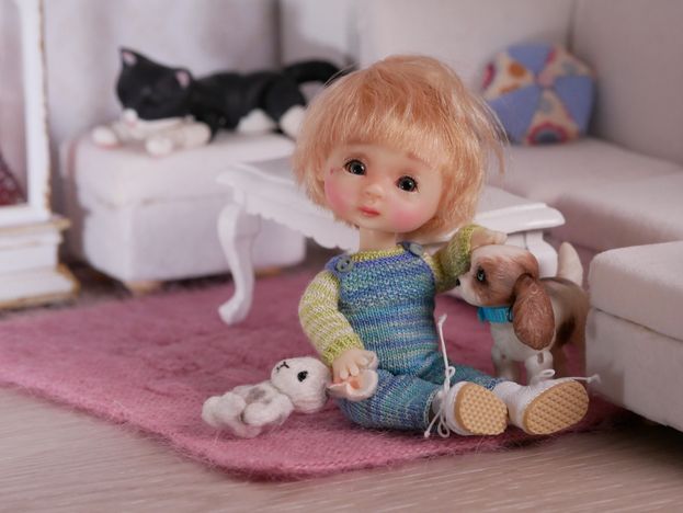 Charlie and the pets
