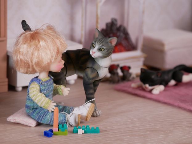 Charlie and the cat
